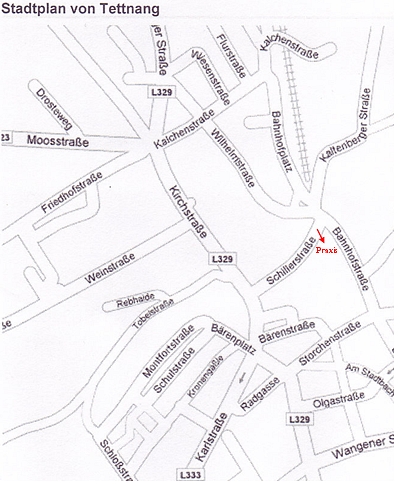 Stadtplan Tettnang